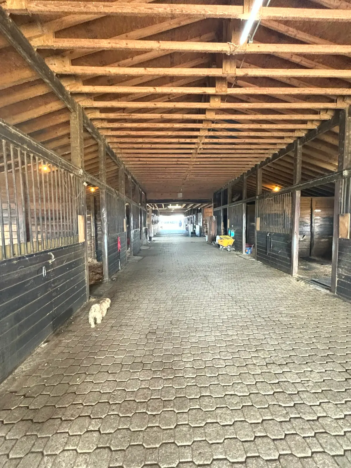 Breezeway of the Lot 3 barn with rubber-matted stalls on both sides