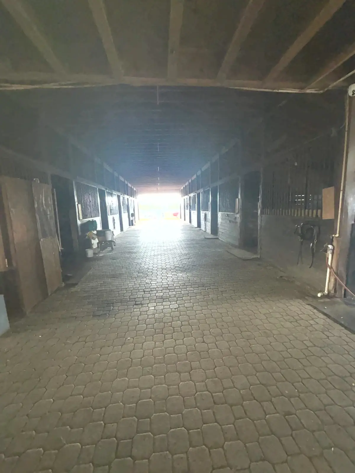 Shaded shed row aisle of the Lot 3 barn