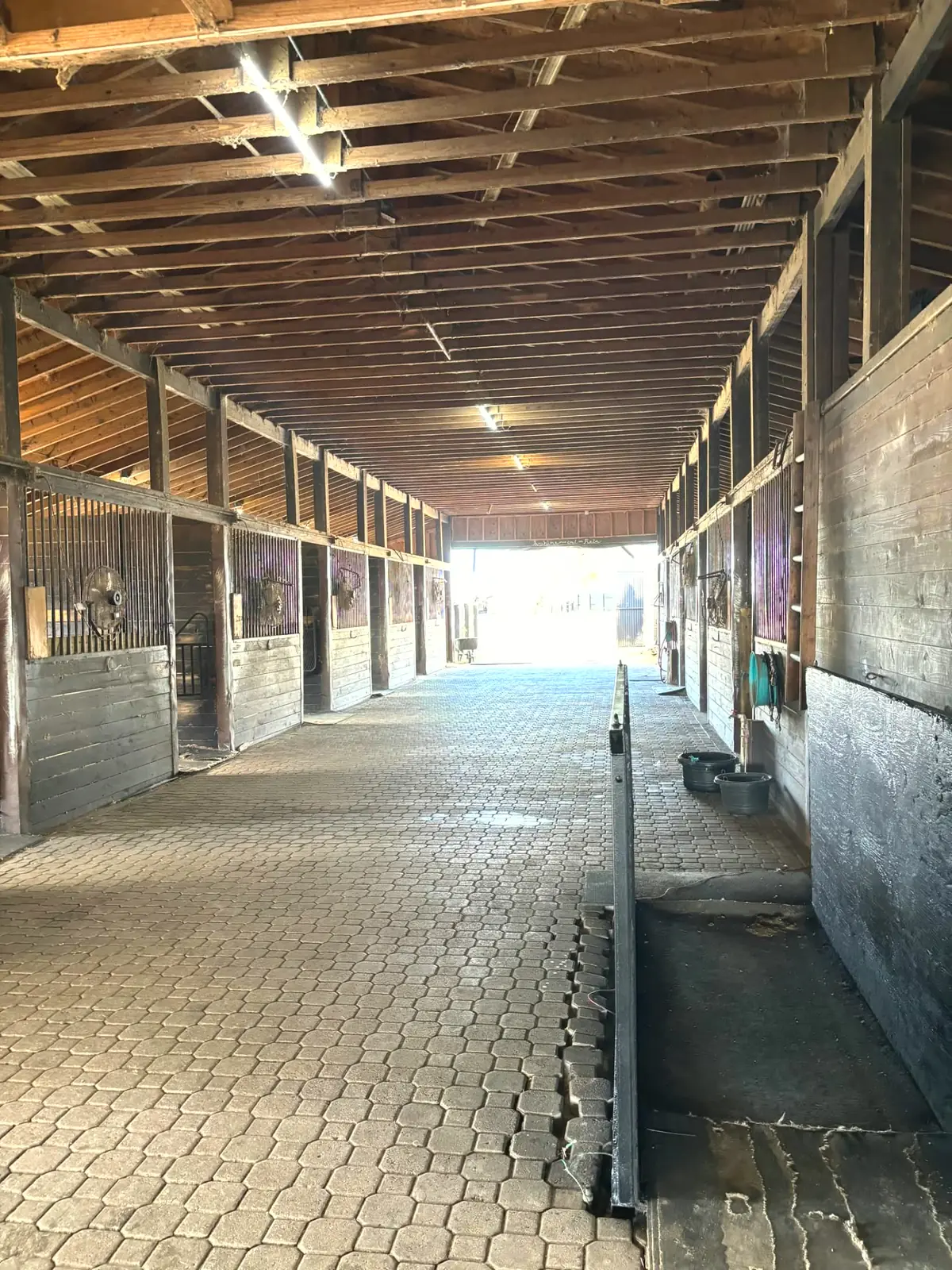 Long paver center aisle lined with matted stalls in the Lot 3 barn