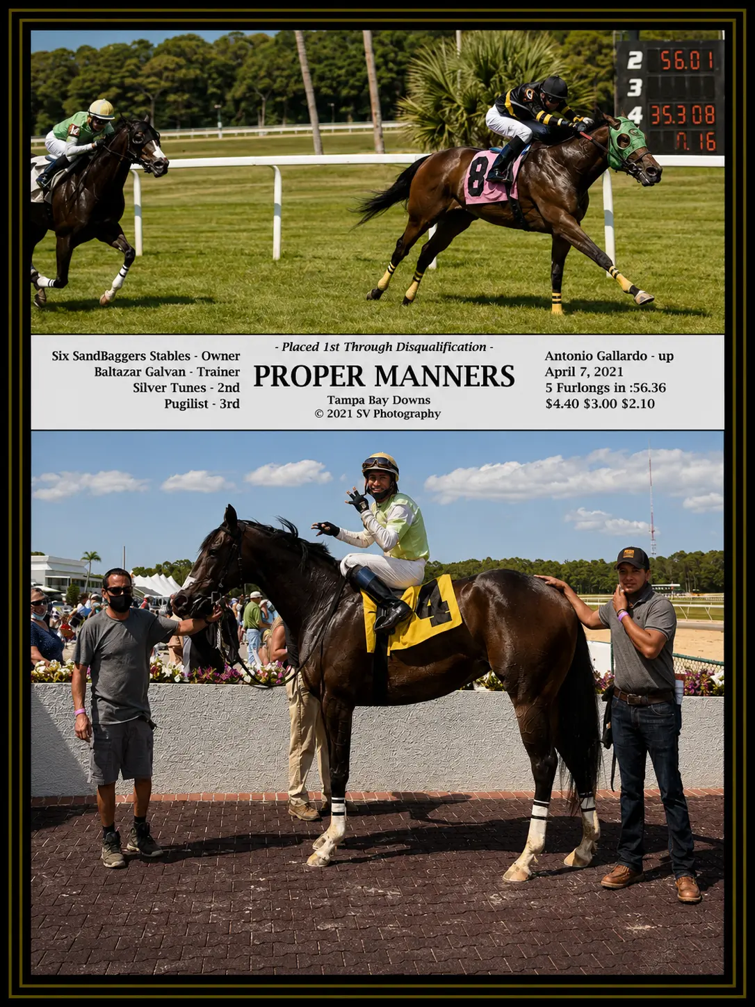 Proper Manners winner's circle photo — Tampa Bay Downs — 4/7/21