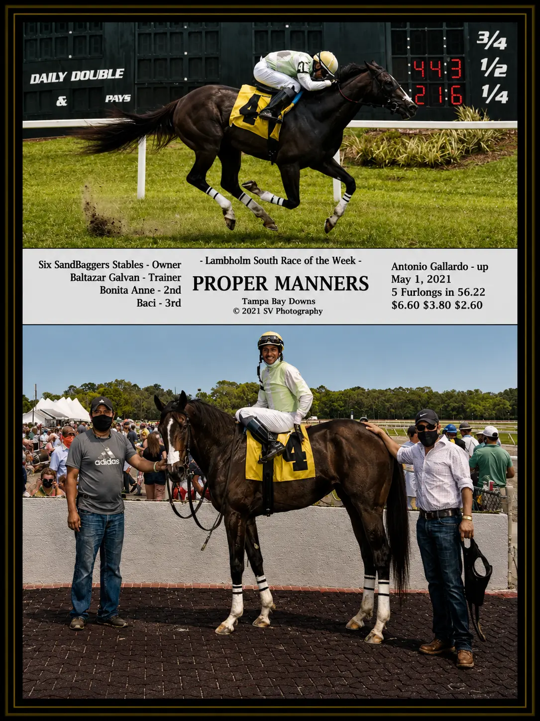 Proper Manners winner's circle photo — Tampa Bay Downs — 5/1/21